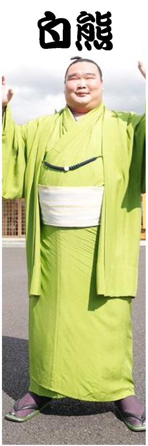白熊
